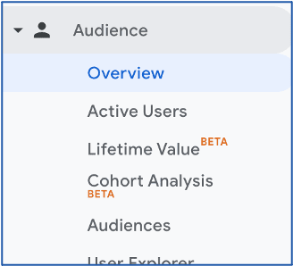audience-overview